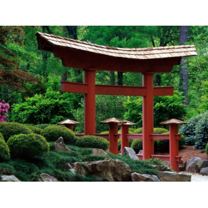 Sân vườn phong cách Nhật Bản